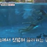 [댓글부탁해] 수영 <b>선출</b> 유이, 물속서 짓밟혀 끌려가고 “기분 너무...