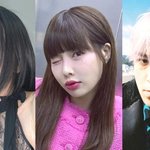 채영·현아·탑, 열애설로 '소나무 취향' 보여준 스타들 [종합]