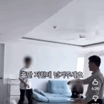 사람무는 강아지 <b>교정</b>방법