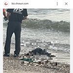 [드루와] 요즘 <b>반토막</b> 시체 왤케 자주 발견됨?