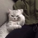 오늘 <b>오전</b>에도