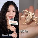한지은, <b>동물학대</b> 논란...뼈밖에 없는 도마뱀 충격적 상태 "폐사...