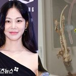 논란…반려 도마뱀 상태가 "뼈밖에 없어, <b>기아</b> 같아" [엑's...