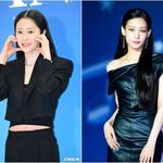 고현정, 전 시댁 신세계家 '정용진 조카' 애니 응원…“따뜻하다”...