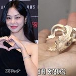 [드루와] 한지은, 동물학대 논란…“반려 도마뱀, <b>기아</b> 상태”