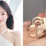 배우 한지은 <b>반려동물</b> 방송 후 <b>동물</b>학대 의혹