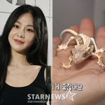 학대 의혹' 해명 "건강 문제 無..<b>세심</b>하게 신경쓸 것"[전문]