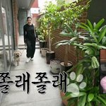 운전면허를 따야겠다고 생각한 이유.<b>jpg</b>