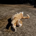 고백받은거같은데 이거무슨<b>의미</b>임?