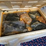 ㄹㅈ<b>택배</b> 죽일까요