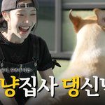 스테이씨 수민 - 사지 말고 입양하세요