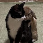 아니<b>글쎄</b>쟤가