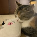 스테이씨 - 오늘 수민 영화 귀시, 자윤 쿠플 오디션