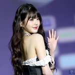 "<b>렉카</b> 실체 파악, 장원영 덕분"…탈덕수용소 검거 뒷얘기 [인터뷰+]