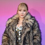 [단독] <b>2NE1</b> 씨엘도 소속사 미등록 운영 파문…"엄중히 인식...