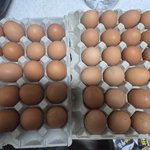 나 <b>술버릇</b> 조카 이상해