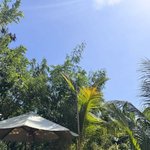 효연, <b>발리</b>서 과감 비키니…군살 하나 없는 슬림몸매 [N샷]