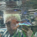 시선”…자이언티, 수조 앞 고요함→<b>잔상</b> 같은 가을밤 오태민 기자