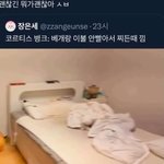 [드루와] 코르티스 <b>베개</b> 찌든때 병크 봄?