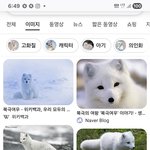 [결혼] 누가 북극<b>여우</b>가 되고 싶어할때 거절되면