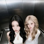 최준희, '추구<b>미</b>' 장원영과 놀라운 합성샷.."원나라와 청나라가...