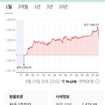 환율 개<b>폭등</b>