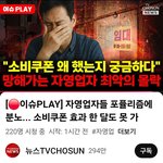 자영업자들 <b>소비</b>쿠폰에 분노 ㅋㅋ