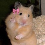 친구 <b>생일</b>선물 <b>사</b>줬는데 취소당했어