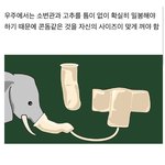 <b>NASA</b>와 우주비행사들 사이에 있었던 갈등