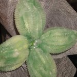 [어떻게해요] 하 제발제발제발 언니오빠들제발요제발