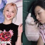 9년…반려묘 근황 포착 "행복한 여름이었어" [<b>Oh</b>!쎈 이슈]