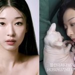 고 설리 <b>반려묘</b> 근황 보니?… 김선아 "블린이 쳐다보기"