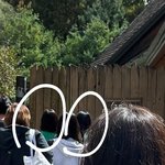 에버랜드 목격담 하츠<b>투</b>하츠 지우, <b>에이</b>나, 이안