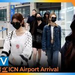 미야오(<b>MEOVV</b>), 예쁨은 숨길 수 없지 (입국)