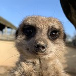 [댓글부탁해] 친구가 내입<b>냄새</b> 난다고