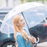 크러쉬 ‘비가 내리고 음악이 흐르면’ (<b>동물</b>농장 출근길) [HD포토]