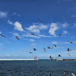 이 날씨, 이 <b>바다</b>, 그리고… 믿기지 않는 광경