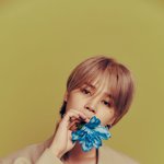 <b>BTS</b> 지민 또 전북서도