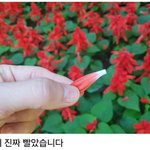 솔직히 꿀 빨았던 8090 <b>세대</b>