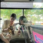 “남은 사진상쟈 개봉 2”…노윤서, <b>초가을</b> 햇살→일상 속 소소한...