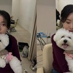 임지연, 반려견 <b>포포</b>와 다정 투샷…5살 연하 이도현도 반할 귀여움...