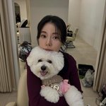 귀여움이 번진 순간”…임지연, <b>포포</b>와의 포근한 가을→따스한 미소