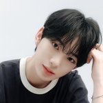 보플은 <b>타츠키</b>가 찐인데