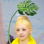 일간 스테이씨 25/09/28