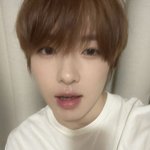 쌍수 <b>상담</b> 갈 때 사쿠야 사진 들고 가는 거 ㅇㄸ