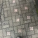 <b>고고</b>헛