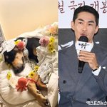 심장마비로 반려견 잃었다 "우리 딸"…전신마비→근육 암 이겨낸 <b>천사</b>