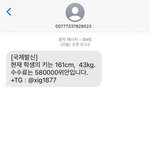 [댓글부탁해] ? 이 <b>문자</b> 뭐임? 개무서워