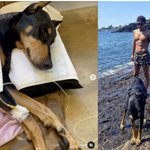 [모두드루와] “아빠한테 와줘서 고마워, 딸”..배정남,‘기적견’...