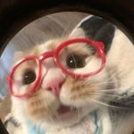 두바이초코<b>설빙</b> 마싯어???